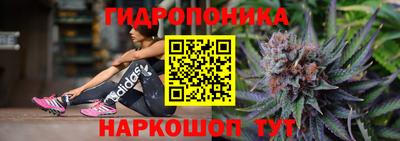 a pvp Котовск