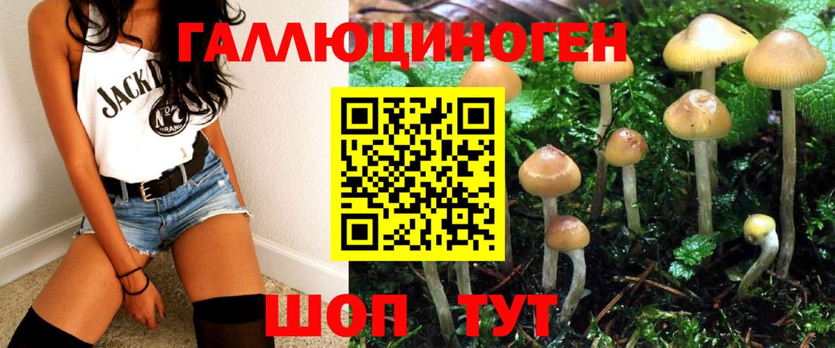 Галлюциногенные грибы MAGIC MUSHROOMS Губкин