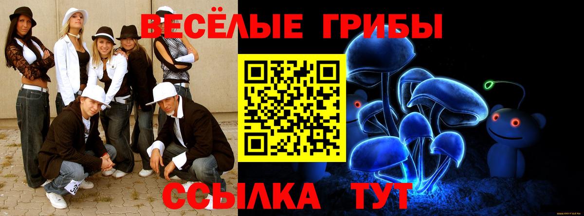 Галлюциногенные грибы GOLDEN TEACHER  Галлюциногенные грибы Cubensis  Вход с VPN  Губкин 